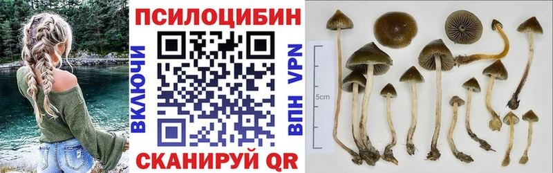 Галлюциногенные грибы мицелий  Александровск 